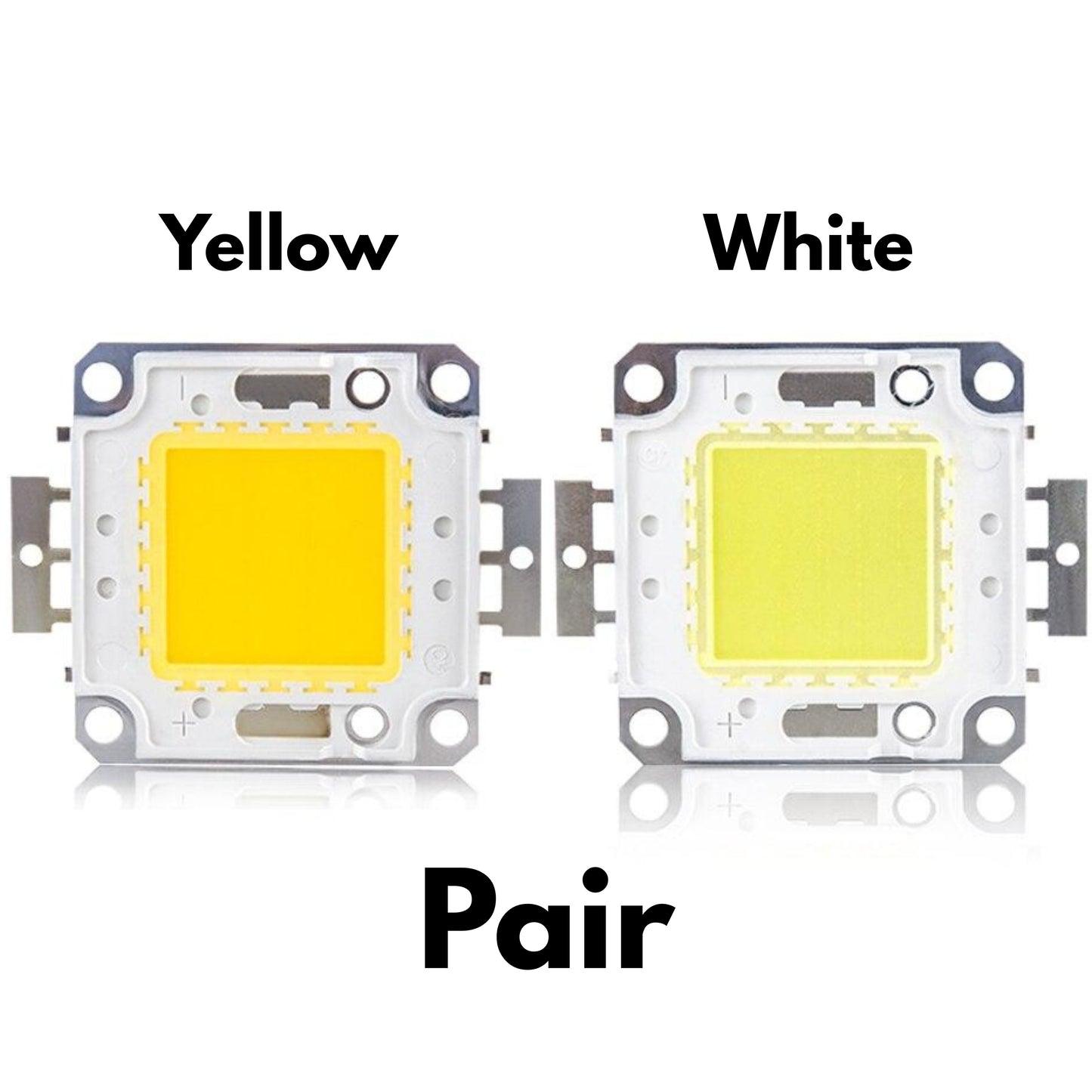 12V 20W COB LED Light