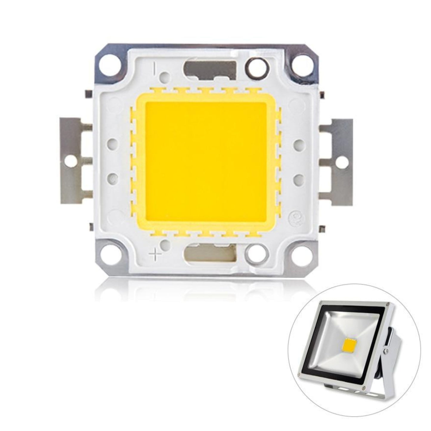 12V 20W COB LED Light